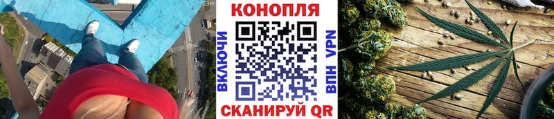 купить наркоту  Избербаш  Каннабис планчик 